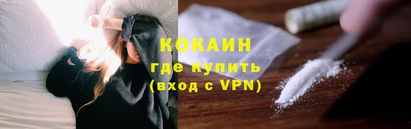 прущие грибы Абинск
