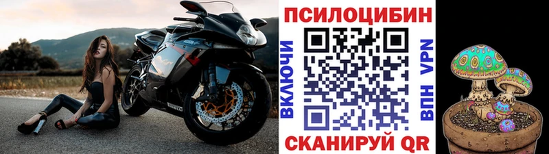 Галлюциногенные грибы Magic Shrooms  это как зайти  Собинка 